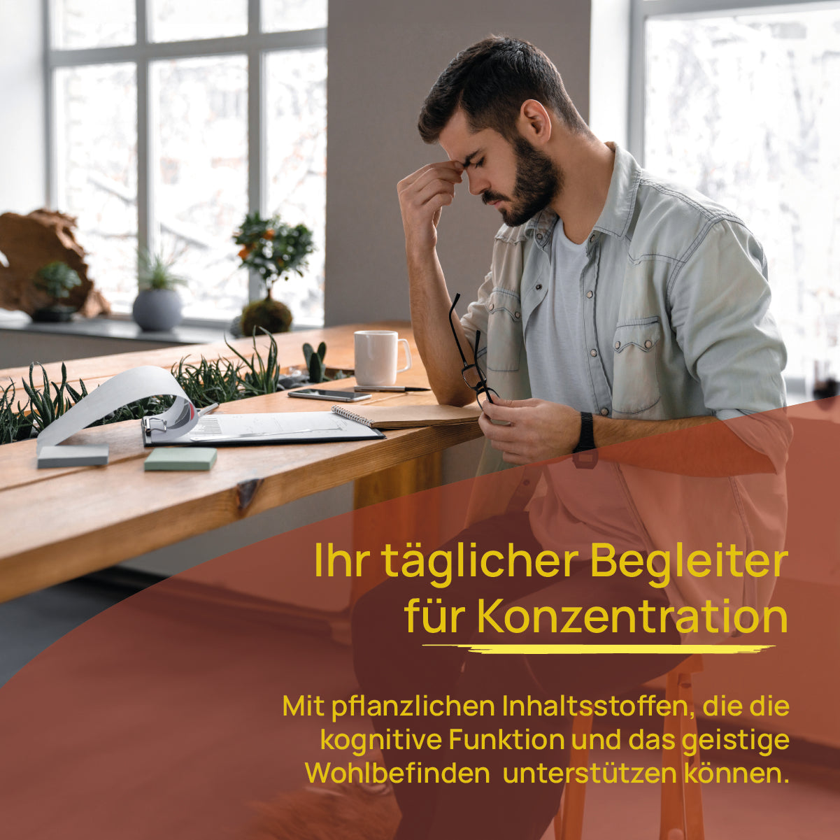 Gedächtnis vital+