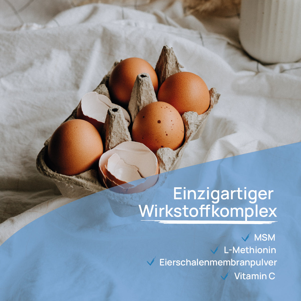 ArthroNem plus mit MSM