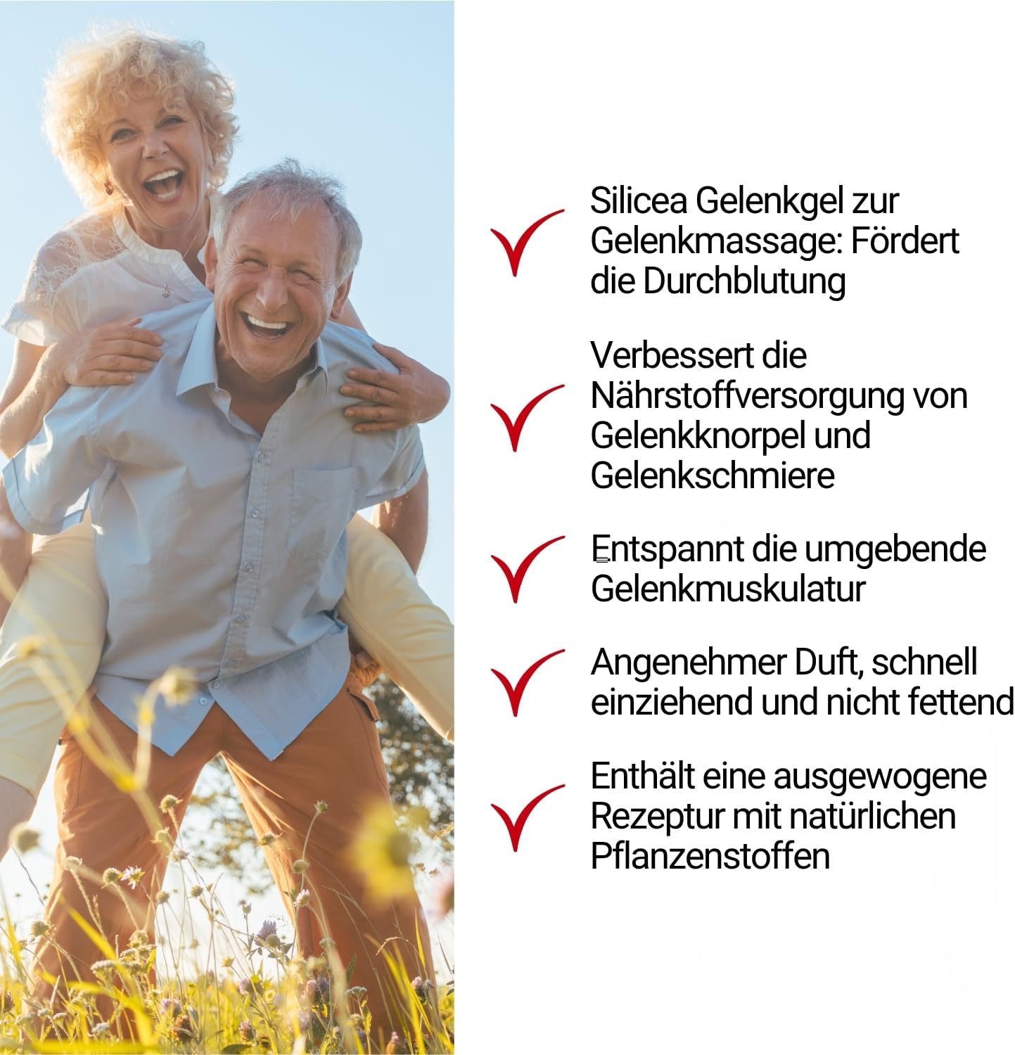 Silicea Sport- und Gelenkgel