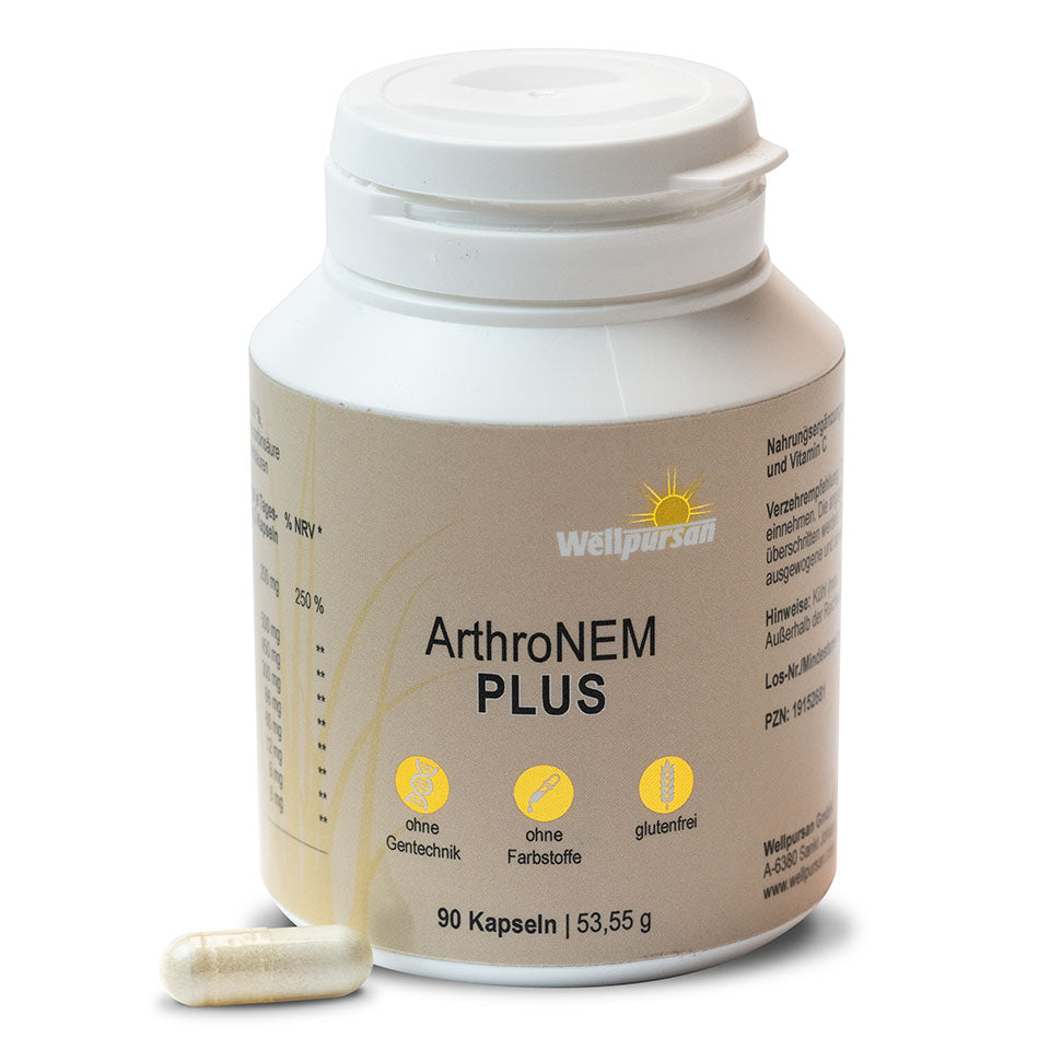 ArthroNem plus mit MSM