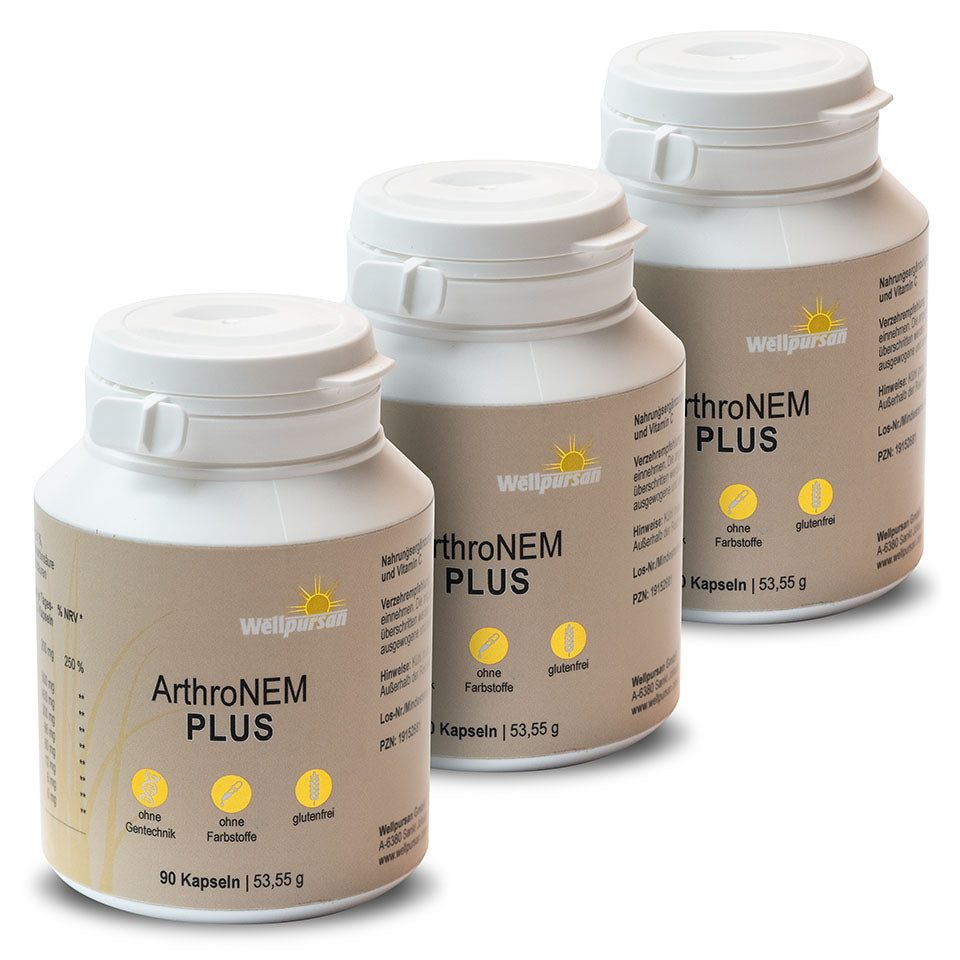 ArthroNem plus mit MSM