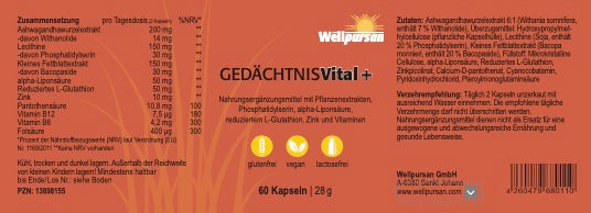 Gedächtnis vital+