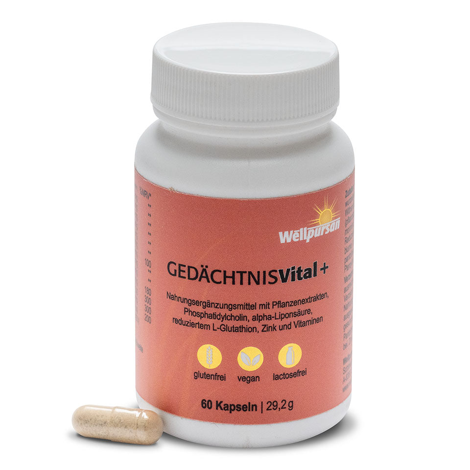 Gedächtnis vital+