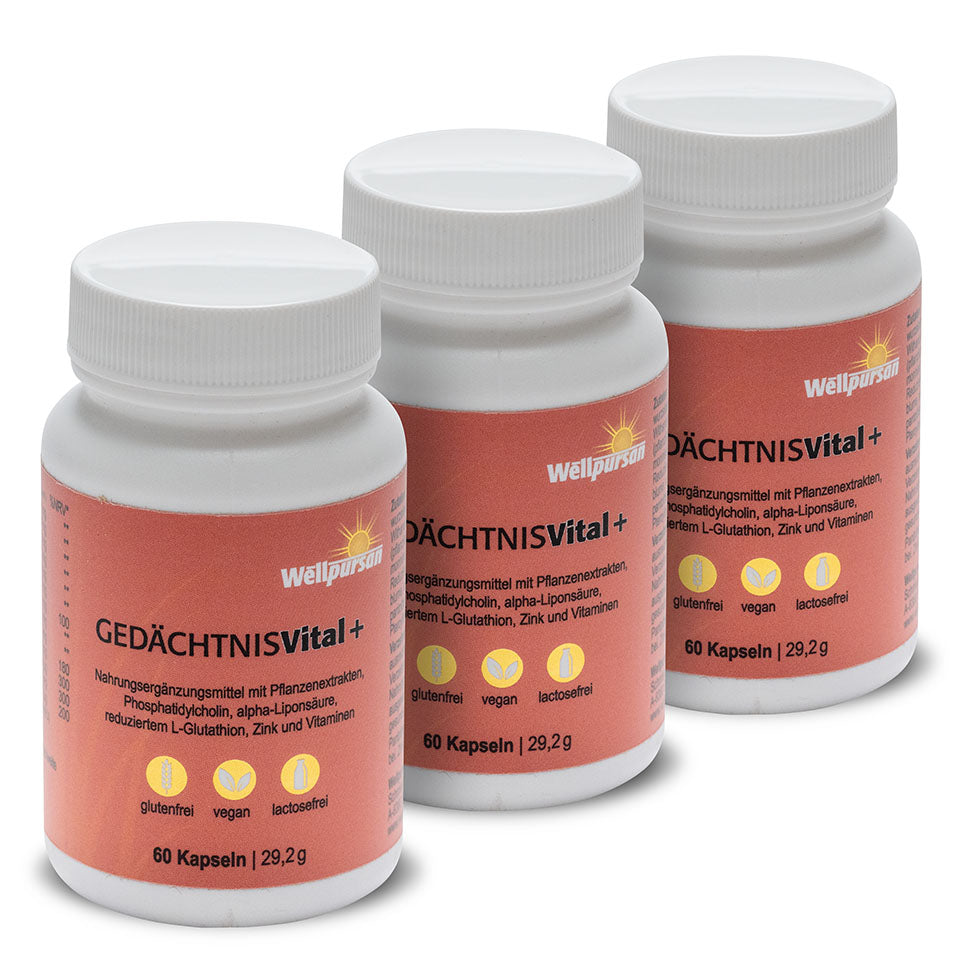 Gedächtnis vital+