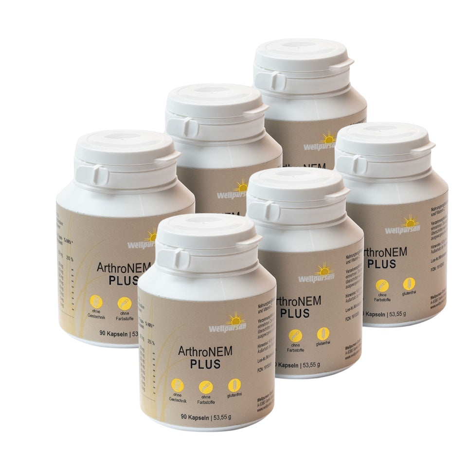ArthroNem plus mit MSM