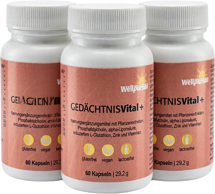 Gedächtnis vital+