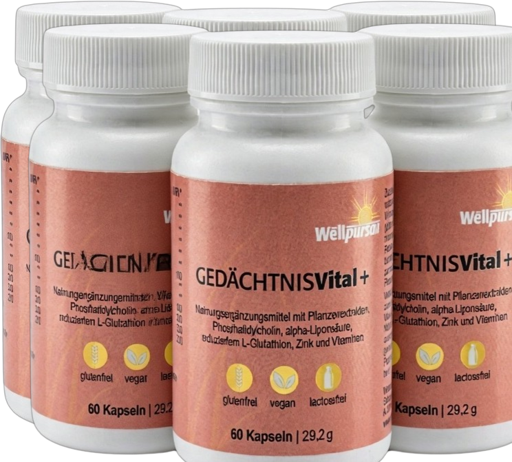 Gedächtnis vital+