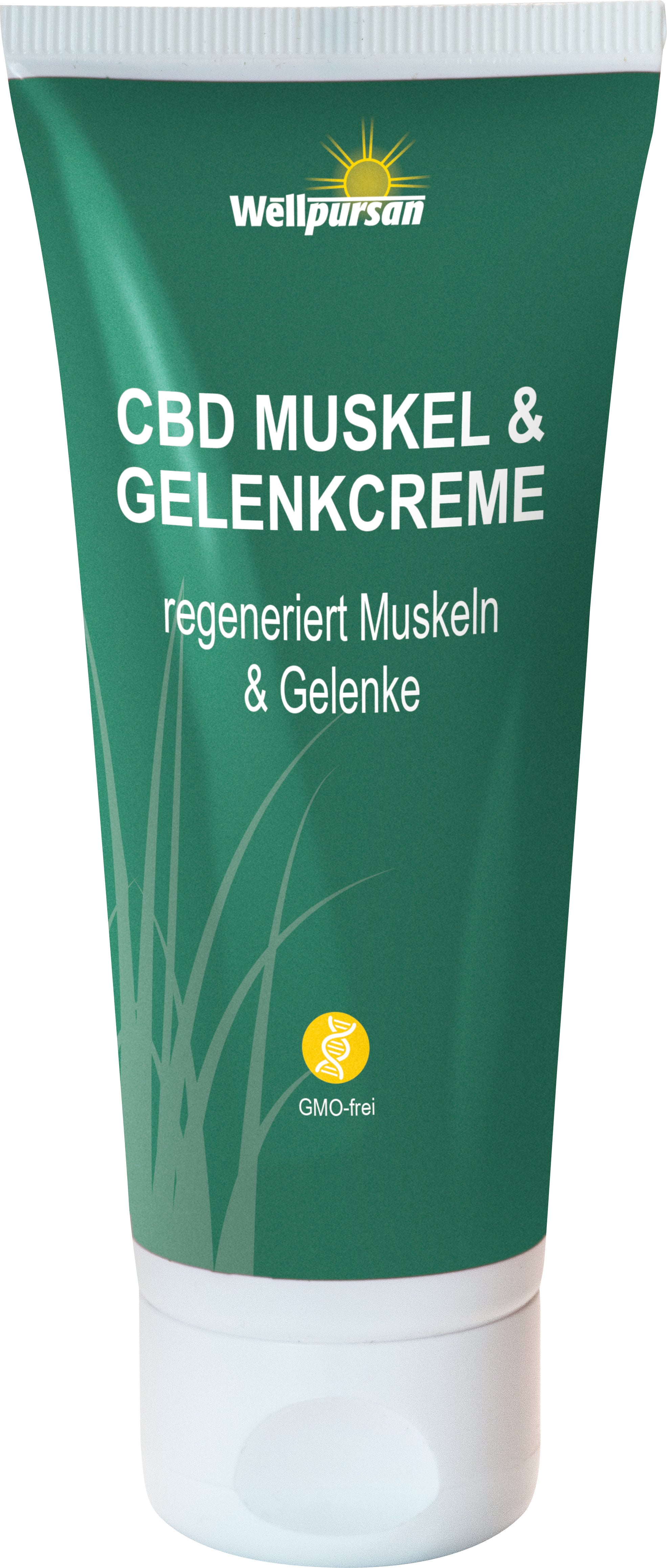 CBD Muskel & Gelenk-Creme