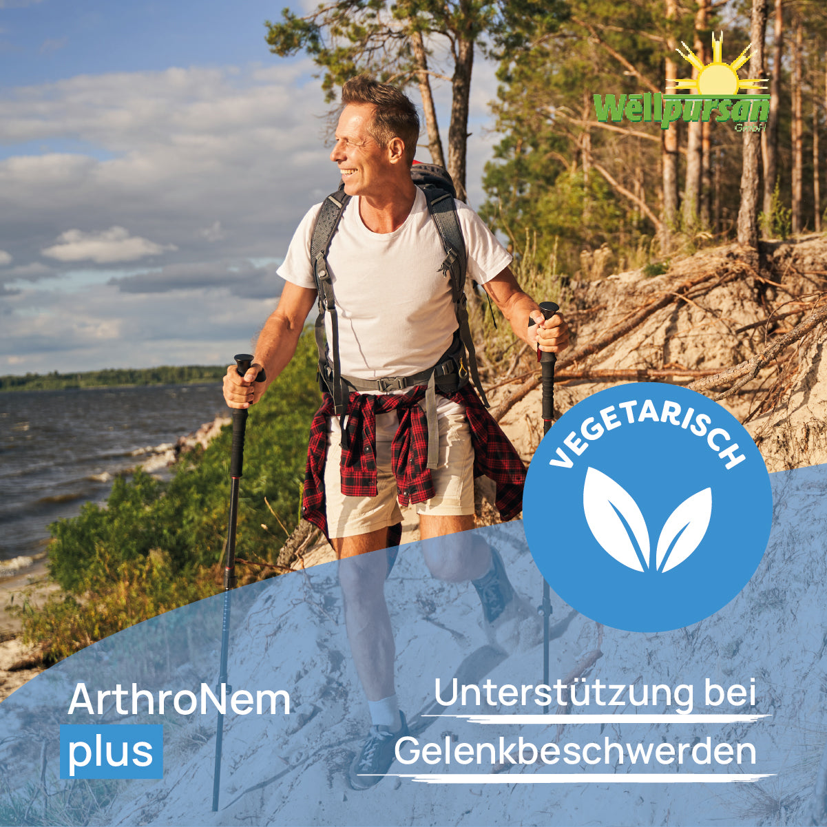 ArthroNem plus mit MSM