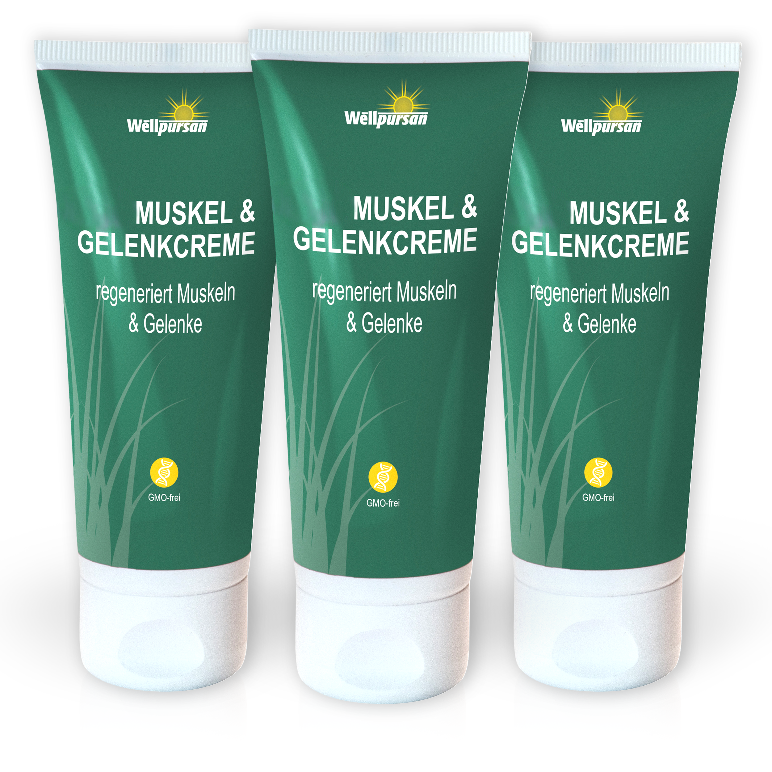 CBD Muskel & Gelenk-Creme