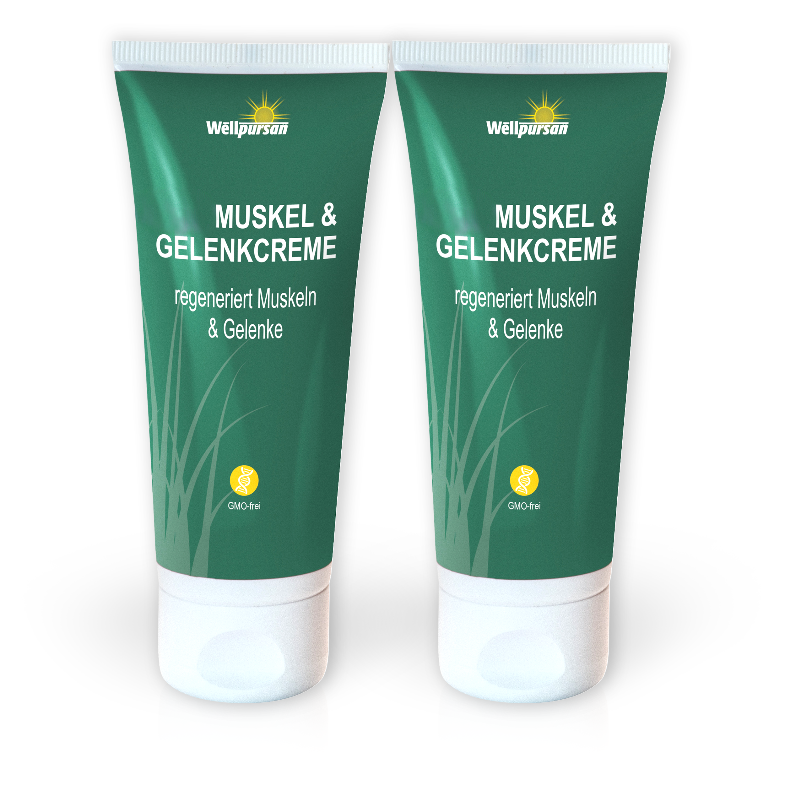 CBD Muskel & Gelenk-Creme