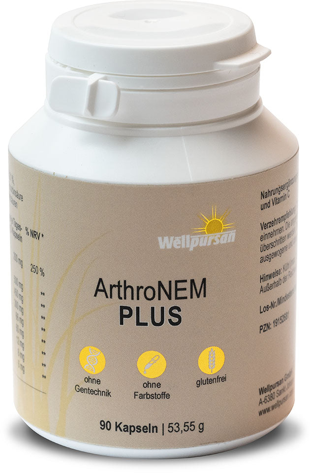 ArthroNem plus mit MSM