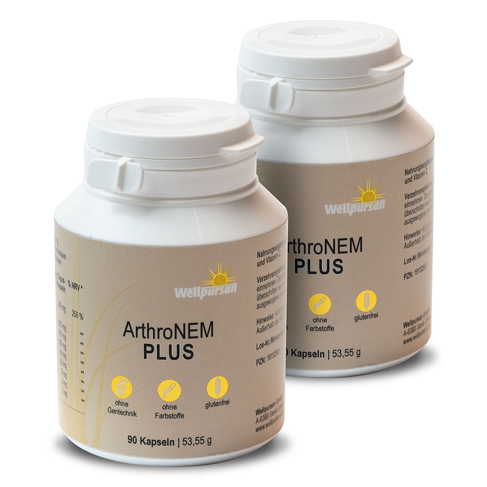 ArthroNem plus mit MSM
