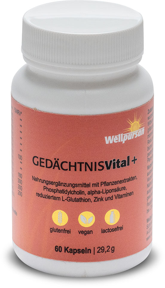 Gedächtnis vital+