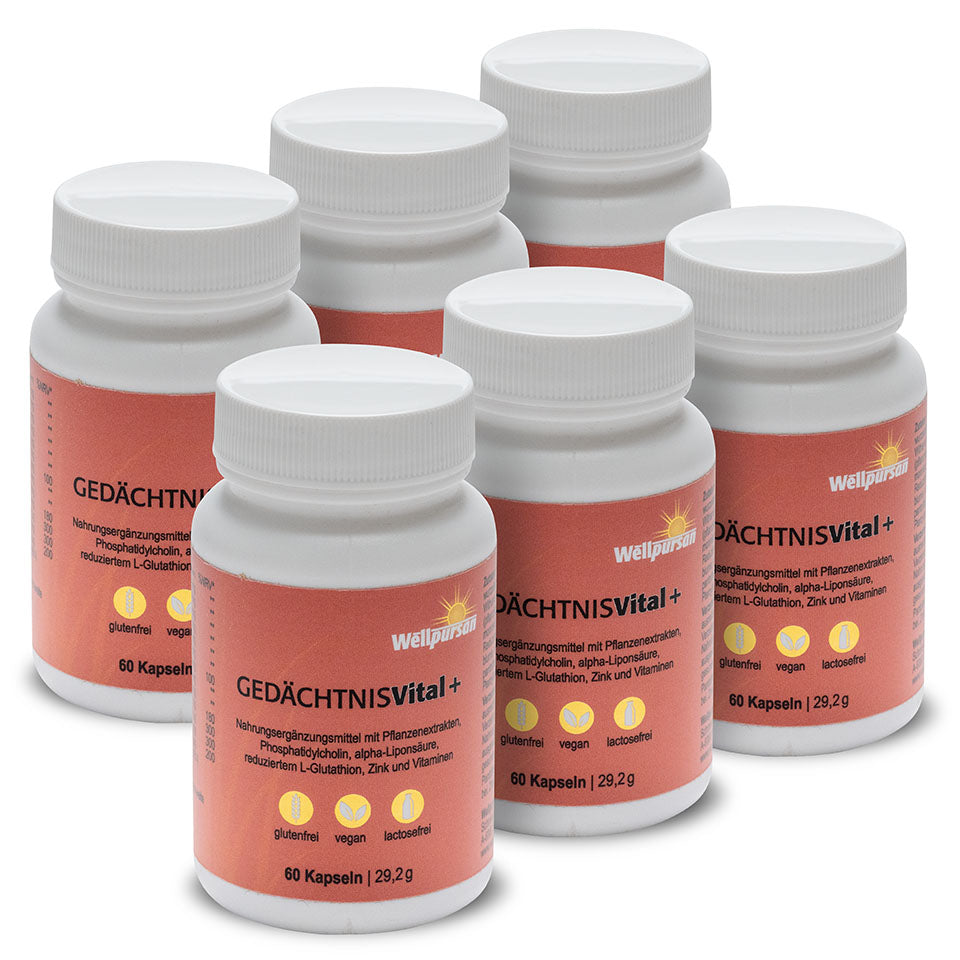 Gedächtnis vital+