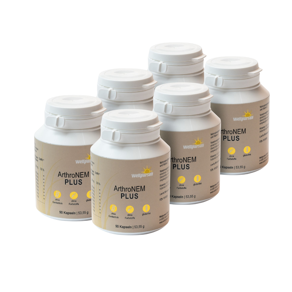 ArthroNem plus mit MSM