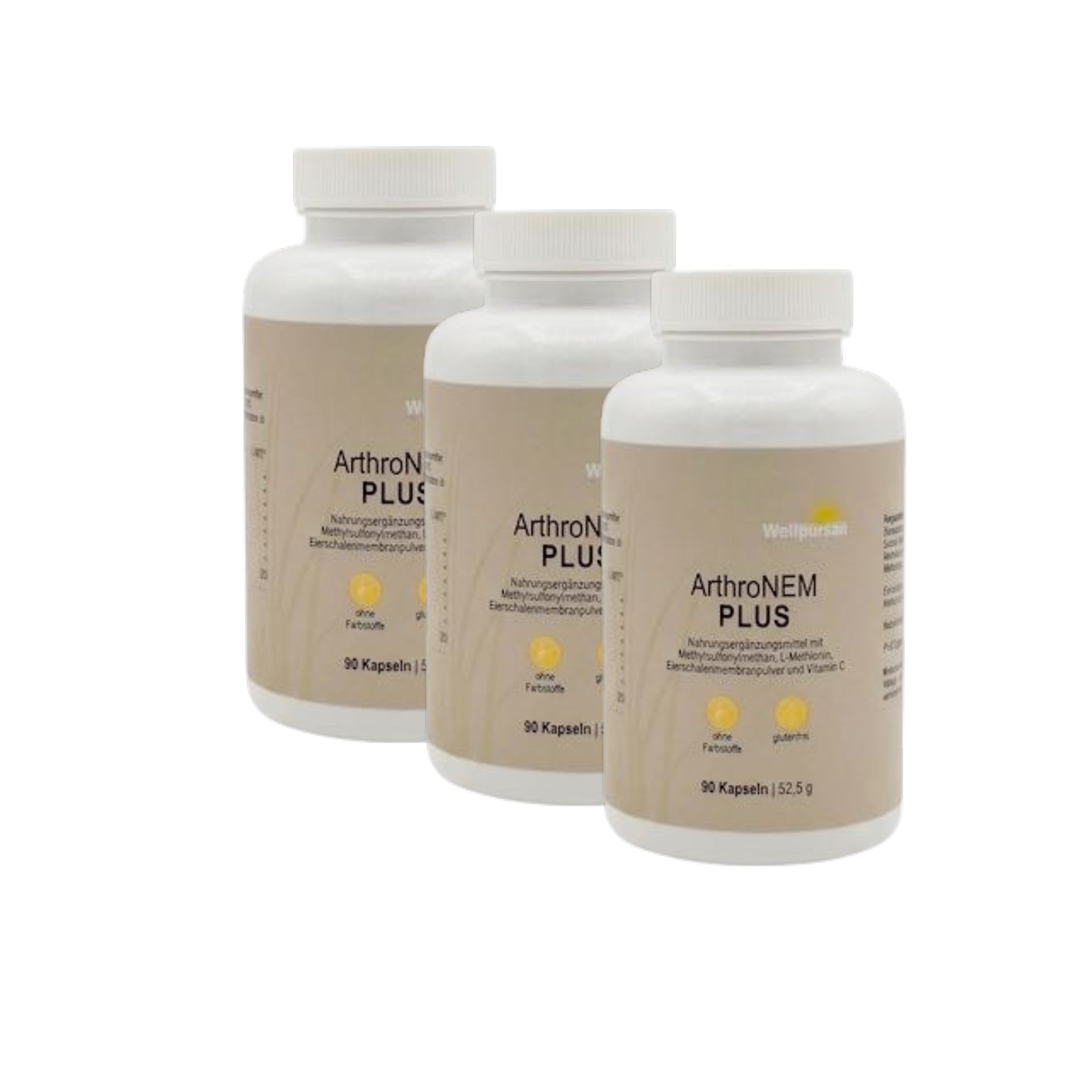 ArthroNem plus mit MSM
