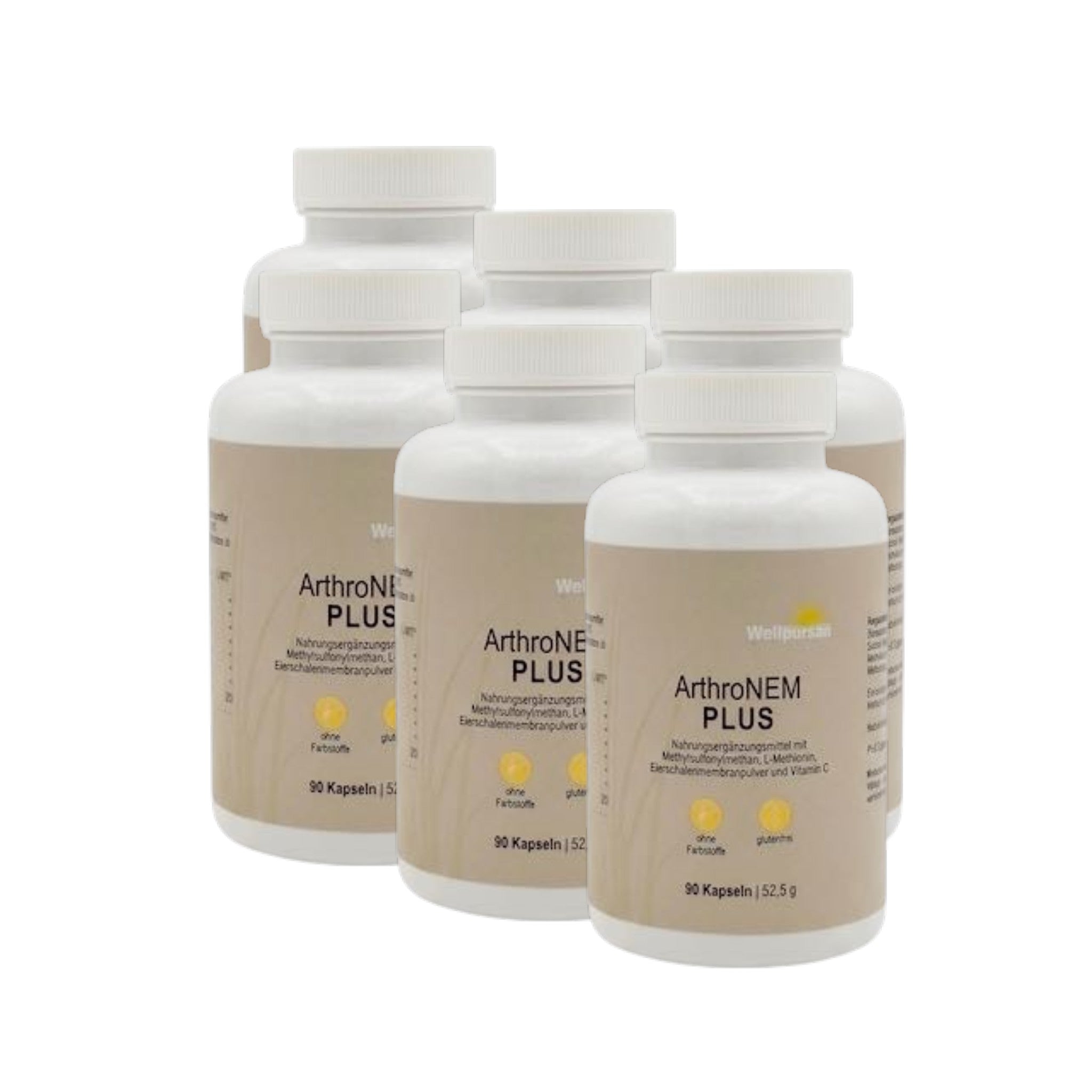 ArthroNem plus mit MSM