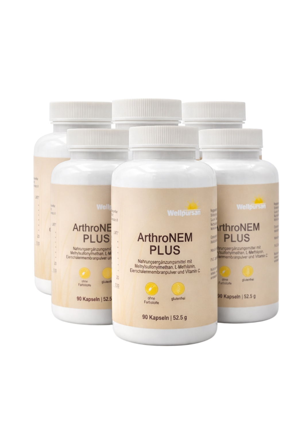 ArthroNem plus mit MSM