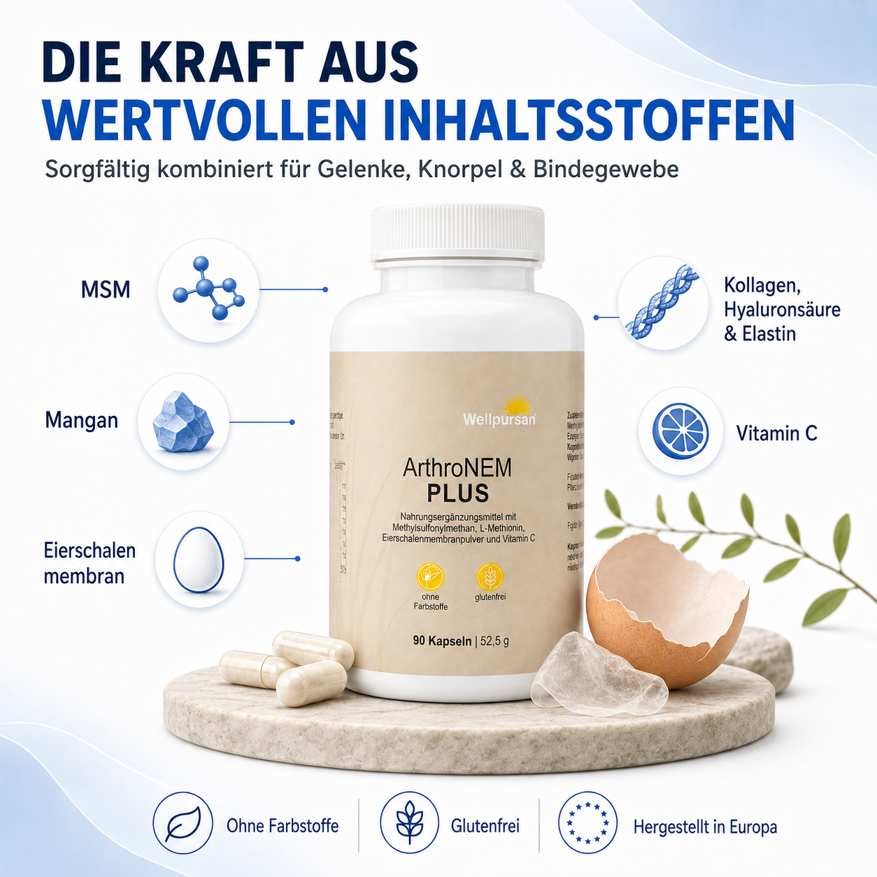 ArthroNem plus mit MSM