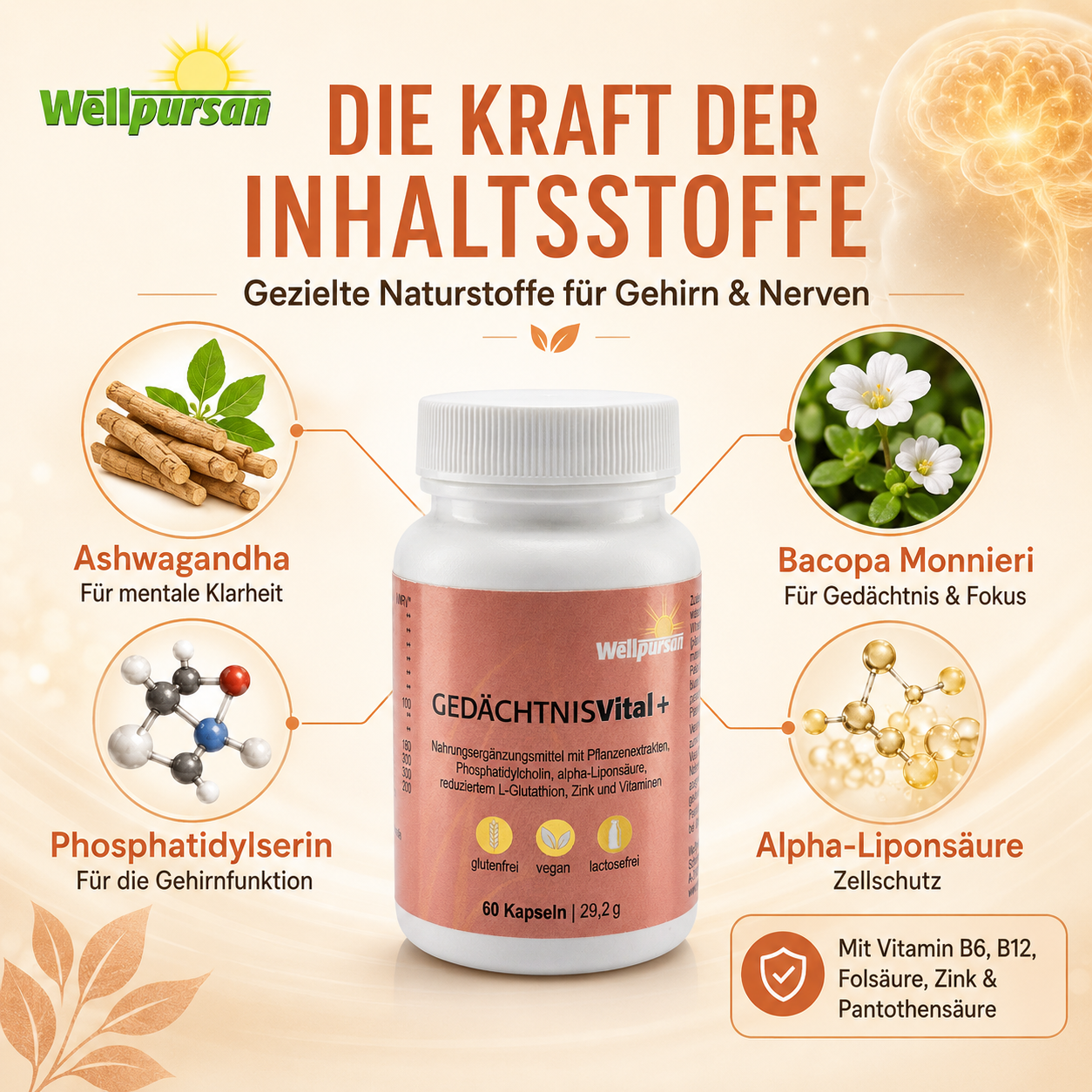 Gedächtnis vital+