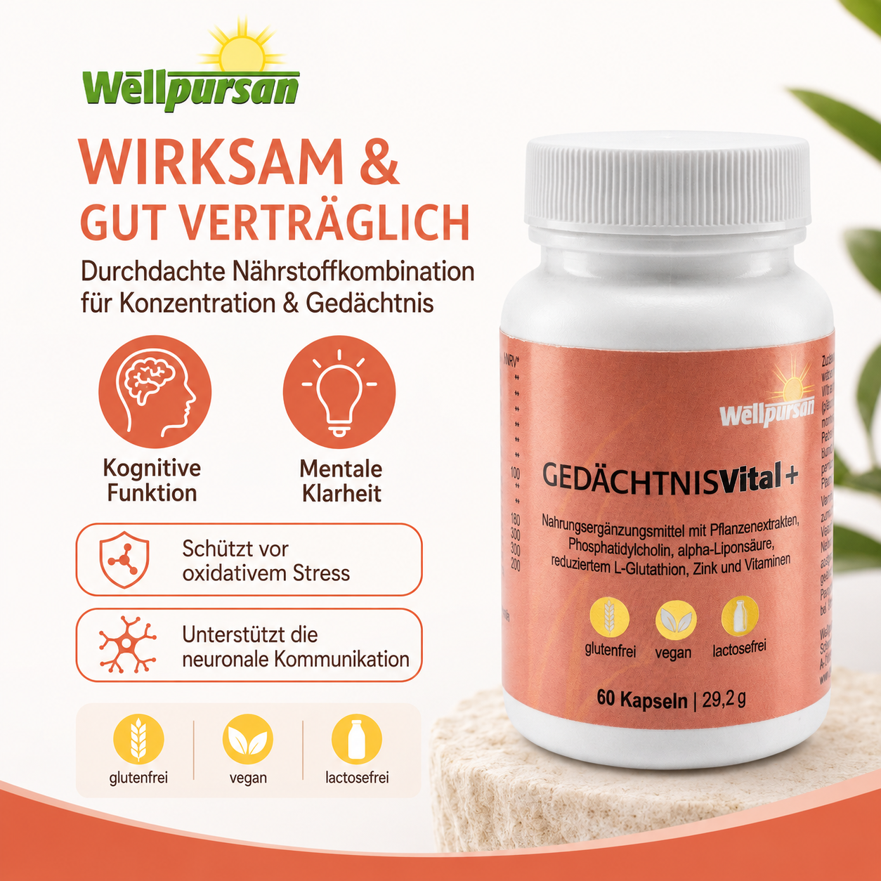 Gedächtnis vital+