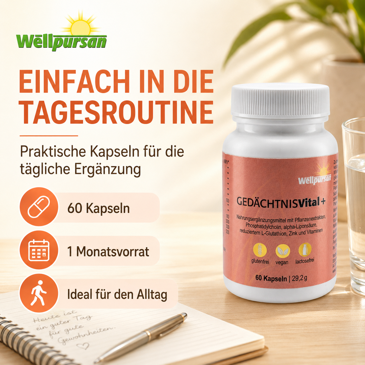 Gedächtnis vital+
