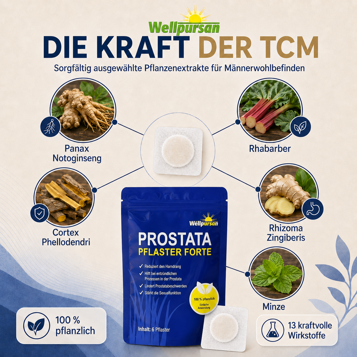 Premium Prostata Pflaster