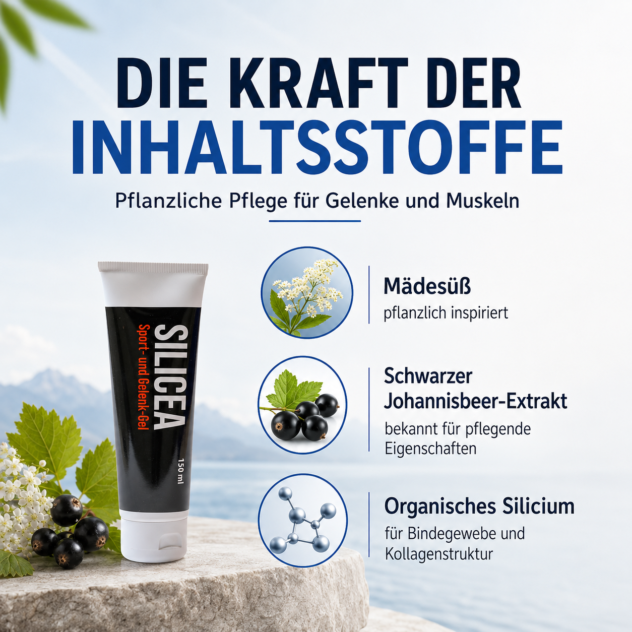 Silicea Sport- und Gelenkgel